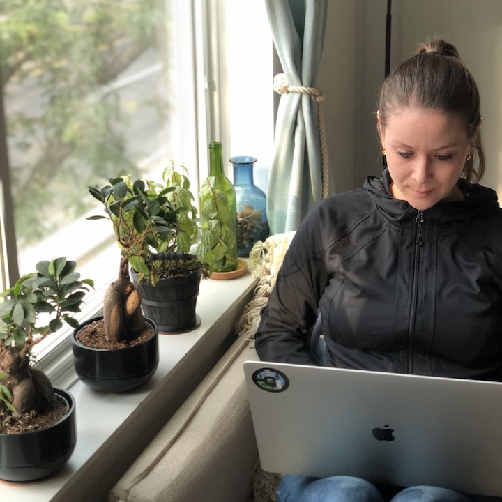 A team member working on their laptop beside a collection of plants on a windowsill.