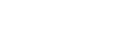 Toss company logo